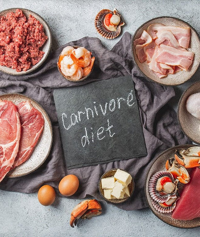 top 10 carnivore snacks