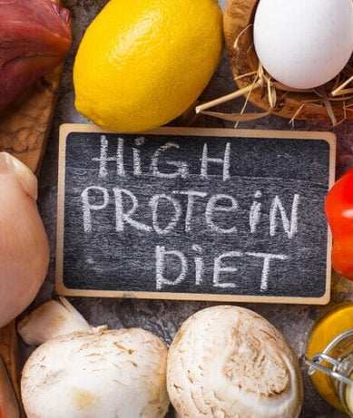 Top High Protein Diets Compared For Weight Loss in 2023