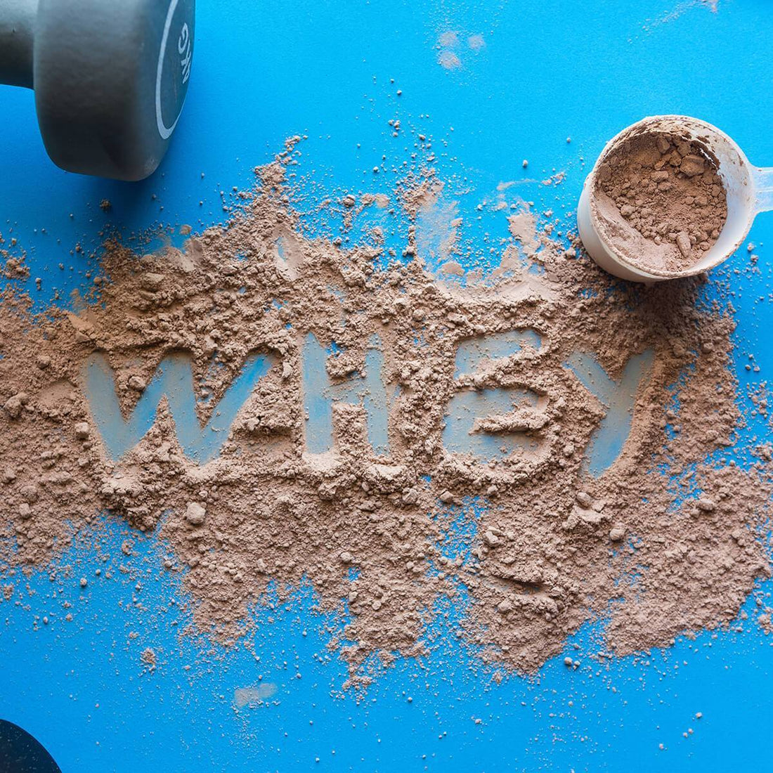 Yes Whey or No Whey? Demystifying Plant-Based & Whey Proteins
