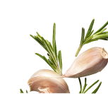 Herbs and Garlic